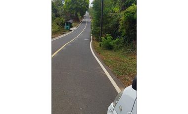 VENTA DE TERRERO EN ALTOS DE PEDREGAL