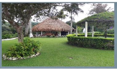 CASA EN VENTA O ALQUILER EN EL VALLE DE ANTÓN 1.8 HECTREAS