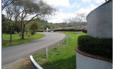 CASA EN VENTA O ALQUILER EN EL VALLE DE ANTÓN 1.8 HECTREAS