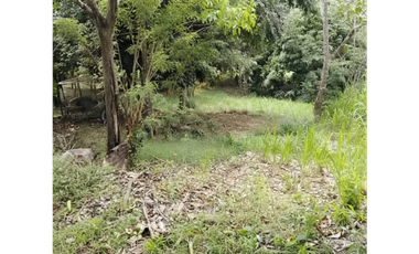 Terreno en venta en El Copecito, El Espino – San Carlos