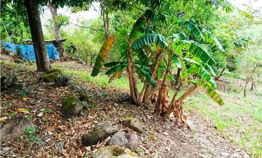 Terreno en venta en El Copecito, El Espino – San Carlos