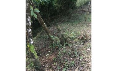 VENDO TERRENO Altos del María, Urbanización Navarra, CODCA
