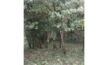 VENDO TERRENO Altos del María, Urbanización Navarra, CODCA
