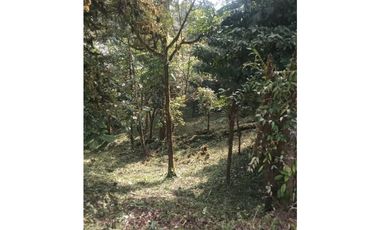 VENDO TERRENO Altos del María, Urbanización Navarra, CODCA