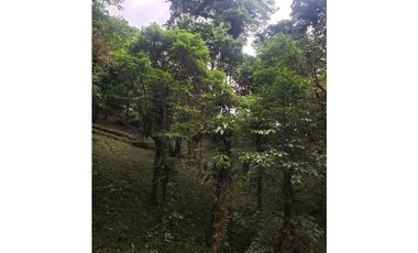 VENDO TERRENO Altos del María, Urbanización Navarra, CODCA