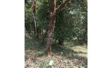 VENDO TERRENO Altos del María, Urbanización Navarra, CODCA