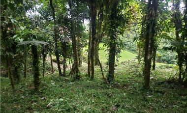 VENDO TERRENO Altos del María, Urbanización Navarra, CODCA