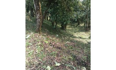 VENDO TERRENO Altos del María, Urbanización Navarra, CODCA
