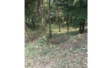 VENDO TERRENO Altos del María, Urbanización Navarra, CODCA