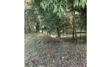 VENDO TERRENO Altos del María, Urbanización Navarra, CODCA