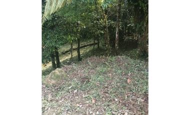 VENDO TERRENO Altos del María, Urbanización Navarra, CODCA