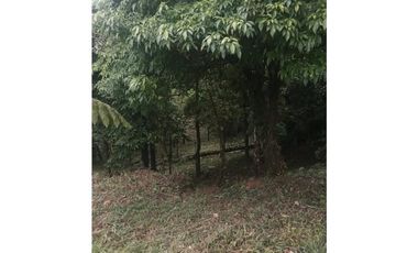 VENDO TERRENO Altos del María, Urbanización Navarra, CODCA