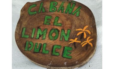 SE RENTA CABAÑA AMUEBLADA CON TERRENO - LAS UVAS, SAN CARLOS