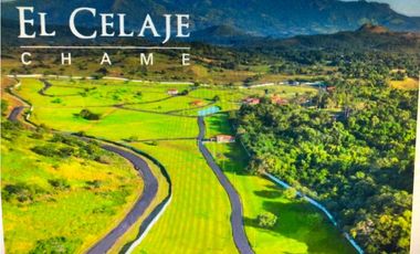 VENDO TERRENO - EL CELAJE - CHAME