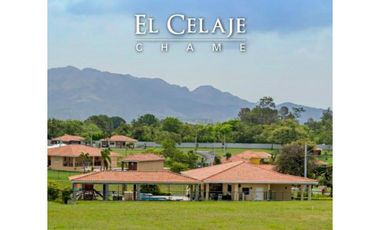 VENDO TERRENO - EL CELAJE - CHAME
