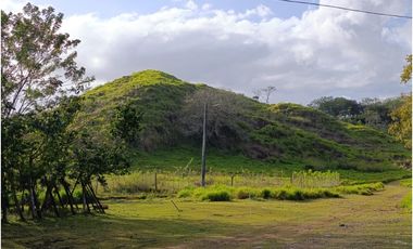 Finca en venta en Playa La Leona - La Chorrera