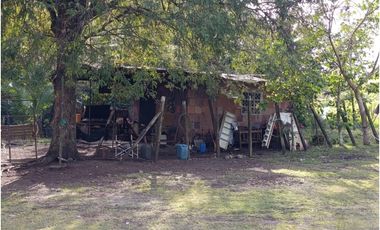 Finca en venta en Playa La Leona - La Chorrera