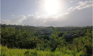 Finca en venta en Playa La Leona - La Chorrera