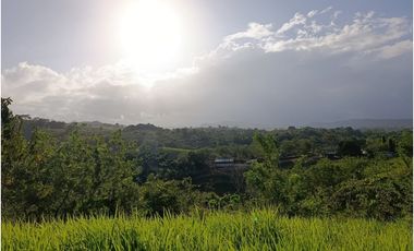 Finca en venta en Playa La Leona - La Chorrera