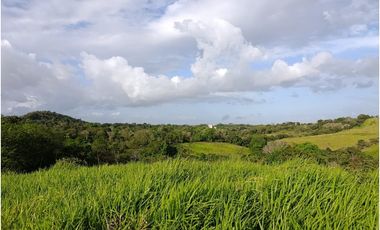 Finca en venta en Playa La Leona - La Chorrera