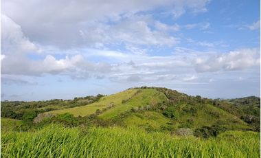 Finca en venta en Playa La Leona - La Chorrera