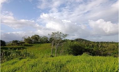 Finca en venta en Playa La Leona - La Chorrera