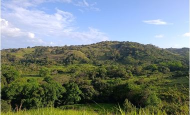 Finca en venta en Playa La Leona - La Chorrera