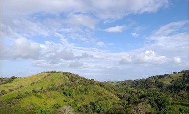 Finca en venta en Playa La Leona - La Chorrera