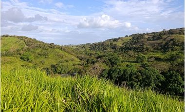 Finca en venta en Playa La Leona - La Chorrera