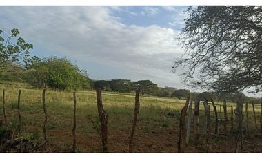 Terreno en Venta de 9.76 hectareas, Monagrillo Panama
