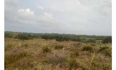Terreno en Venta de 9.76 hectareas, Monagrillo Panama