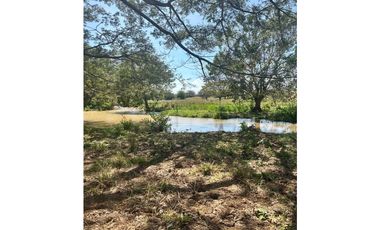 Terreno en Venta de 9.76 hectareas, Monagrillo Panama