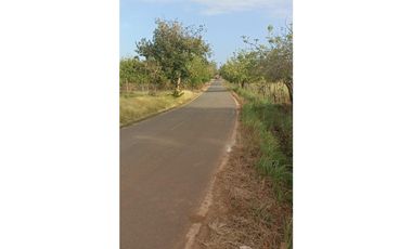 Terreno en Venta de 9.76 hectareas, Monagrillo Panama