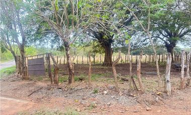 Terreno en Venta de 9.76 hectareas, Monagrillo Panama