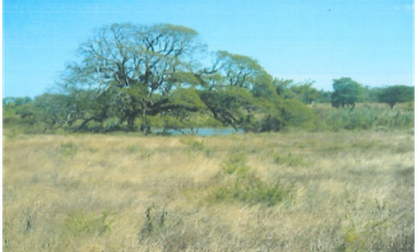 Terreno en Venta de 9.76 hectareas, Monagrillo Panama