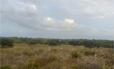 Terreno en Venta de 9.76 hectareas, Monagrillo Panama