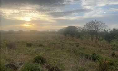 Terreno en Venta de 9.76 hectareas, Monagrillo Panama