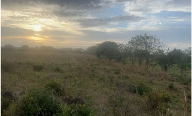 Terreno en Venta de 9.76 hectareas, Monagrillo Panama