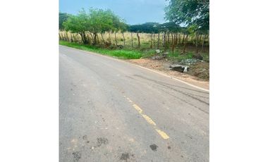 Terreno en Venta de 9.76 hectareas, Monagrillo Panama