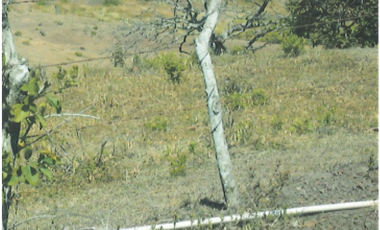 Terreno en Venta de 9.76 hectareas, Monagrillo Panama