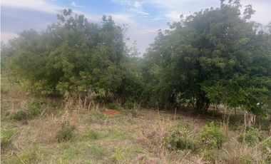 Terreno en Venta de 9.76 hectareas, Monagrillo Panama