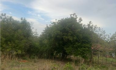 Terreno en Venta de 9.76 hectareas, Monagrillo Panama