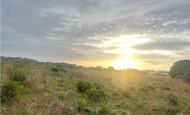 Terreno en Venta de 9.76 hectareas, Monagrillo Panama
