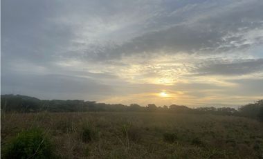 Terreno en Venta de 9.76 hectareas, Monagrillo Panama