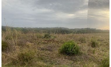 Terreno en Venta de 9.76 hectareas, Monagrillo Panama