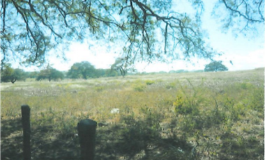 Terreno en Venta de 9.76 hectareas, Monagrillo Panama