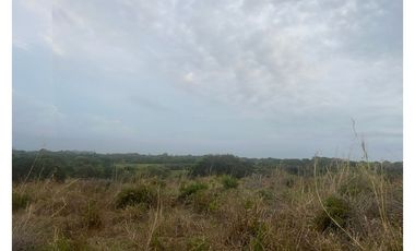 Terreno en Venta de 9.76 hectareas, Monagrillo Panama