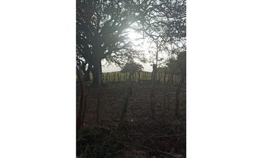 Terreno en Venta de 9.76 hectareas, Monagrillo Panama