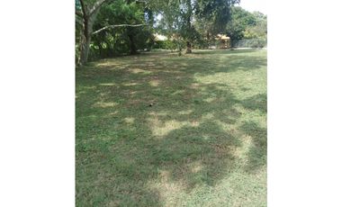 TERRENO EN CORONADO