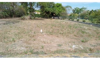 TERRENO EN CORONADO